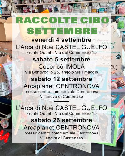 Raccolte cibo nel mese di settembre