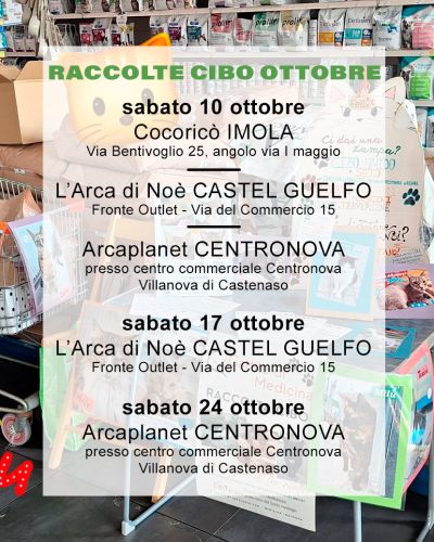 Raccolte cibo nel mese di ottobre